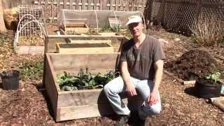 How to Use a Cold Frame Alberta Urban Garden