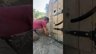 DIY Homestead Root Cellar Build pt.2  #idaho  #homestead #life #happy #health #root #cellar