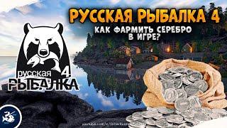 HOW TO PHARM THE BEGINNER ● RUSSIAN FISHING 4 ● GUIDE