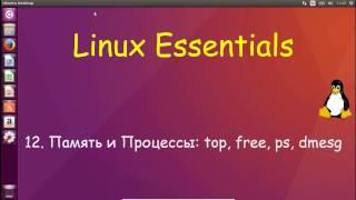 Linux для Начинающих - Процессы и Память: top, free, ps