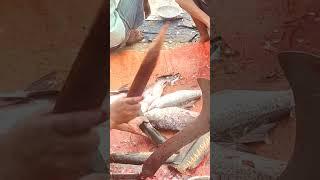 Amazing Sola fish cutting skills