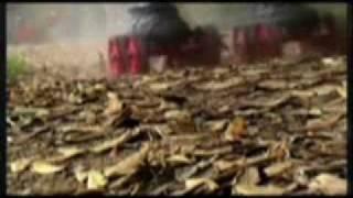 What Skorpion Skates? - Answer. Push Play!