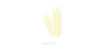 Bethesda World Harvest International Church Live Stream