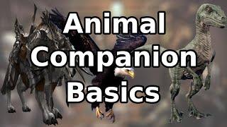 Rules Explanation: Pathfinder 2e Animal Companions