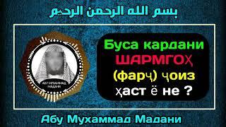 оё буса кардани шармгохи зан чоиз аст ё не