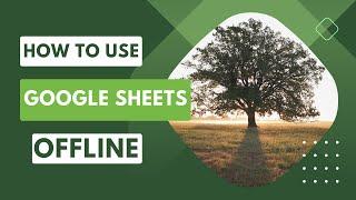 How to Use Google Sheets Offline in a Few Clicks