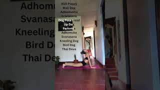Dog Pose Yoga: Dog Variations  ‍️