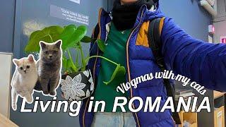 Peaceful Vlogmas in Romania, Relaxing at home with my cats, Kaufland Shopping, A day in my life Vlog