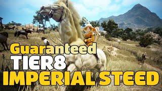 BDO Guaranteed T8 & Imperial Steed Chance ! 