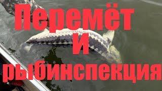 День рождения Алексея  !Рыбалка на перемет и общение с инспекторами !