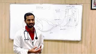 Fasciculations, Fibrillations & Myokymia; Department of General Medicine; DMIHER