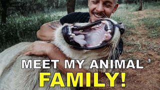 Dean Schneider - Hakuna Mipaka VLOG 6 Meet my Animal Family