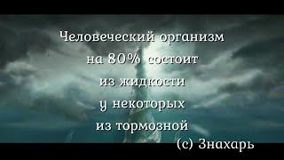 Великие цитаты варкрафта | Фразы героев Warcraft III