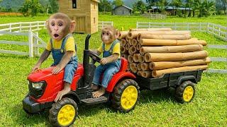 Monkey Bim Bim drives a tractor: cut bamboo to make a new cage for the baby rabbits