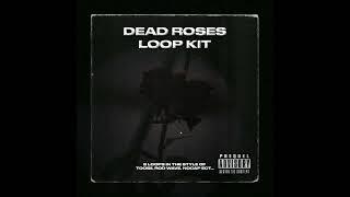 [FREE] (GUITAR) Loop Kit / Sample Pack | Rylo Rodriguez + Toosii + NBA Youngboy + NoCap