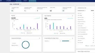 Panaya ForeSight Change Intelligence: A Quick Overview