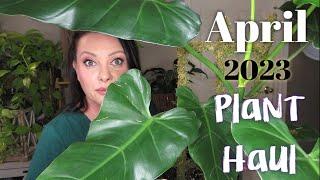 April Plant Haul 2023| Grab and drink & a snack...I have a lot of plants to show you