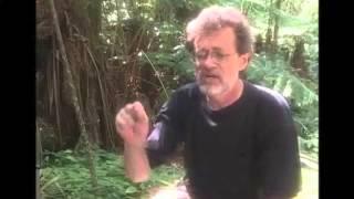 Terence Mckenna - Why our percetion of time is speeding up