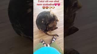 Csézi ott van ahol nem szabadna️️