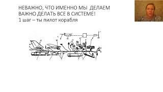 Система работы WELLSTREAM