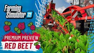 Red Beets In FS22 - Everything You Need To Know | Farming Simulator 22