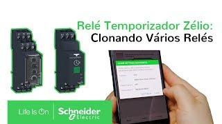 Relé Temporizador Zélio: Como Clonar Vários Relés | Schneider Electric Brasil