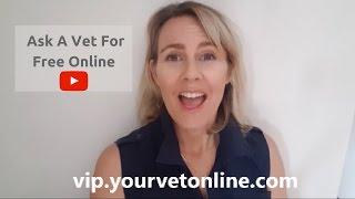 Ask A Vet Free Online | Go To www.YourVetOnline.com