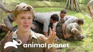 Robert toma de la cabeza a enorme cocodrilo | Los Irwin | Animal Planet