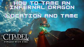 Citadel Forged with Fire: Infernal Dragon location and tame - You're a Tamer - Walkthrough - Guide