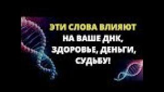 СЛОВА СИЛЫ  Как слова влияют на Успех, Здоровье, Достаток Разрушающие Слова и Слова Силы