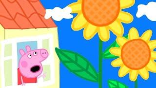 Świnka Peppa | Ogródek Pepy i Georga | Bajki Po Polsku | Peppa po Polsku