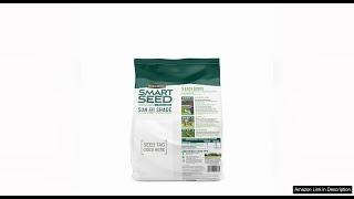 Pennington Smart Seed Sun and Shade Grass Mix 3 lb Review