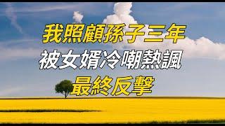 我照顧孫子三年，被女婿冷嘲熱諷，最終反擊【老林歲月風華】#晚年#幸福人生#情感#中老年#養老