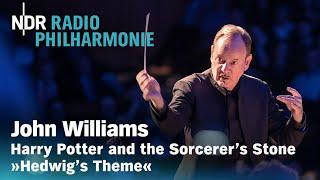 John Williams: "Hedwig’s Theme" from "Harry Potter" | Frank Strobel | NDR Radiophilharmonie