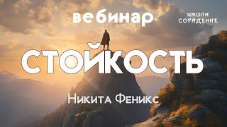 Стойкость  #НикитаФеникс  #Весталия #ШколаСорадение