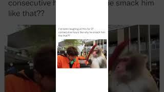 Monkey Smack #shorts #funny #whatsappstatus #tiktok #youtubeshorts #ytshorts #monkey #cringe #memes