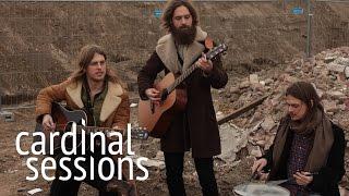 DeWolff - Black Cat Woman - CARDINAL SESSIONS