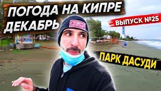 Погода на Кипре в городе Лимассол | Парк Дасуди (Dasoudi Beach)