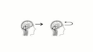 Model of Metacognition