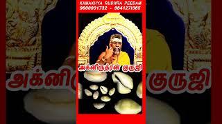 சோழி மகத்துவம் !sozhi benefits/அக்னிருத்ரன் குருஜி/sozhi pooja