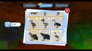 All birds unlocked in Feather Family!