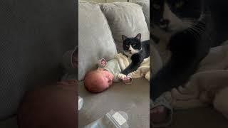 Cat Rests Open Paws on Sleeping Baby