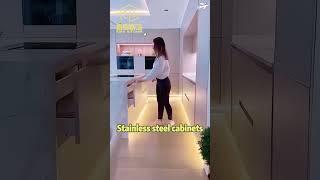 Durable Stainless Steel Kitchen Cabinet Designs for Designers
