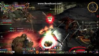 Lotro warden pvp u16-17