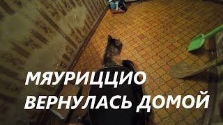 МЯУРИЦЦИО ВЕРНУЛАСЬ ДОМОЙ / VLOG / 09. 10. 2024 #vlog #live #mukbang #food #приколы