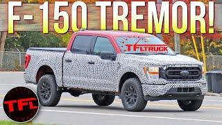 SPIED! Move Over FX4 — The Ford F-150 TREMOR Is The New Off-Road Sheriff In Town!