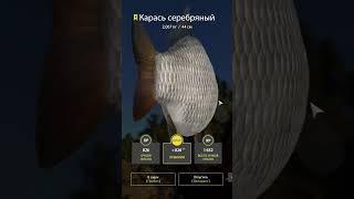 Редкий ТРОФЕЙ Карася  #русскаярыбалка4 #рр4 #russianfishing4 #rf4