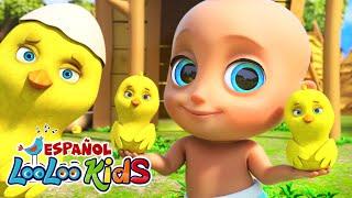 Los Pollitos Dicen Pio Pio - ¡Canciones Infantiles! LooLoo