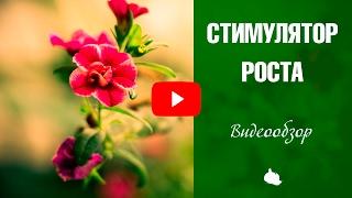 Стимуляторы роста растений  Какие использовать? Советы от эксперта