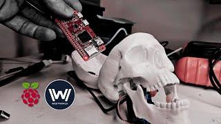 Westworld Host Prototype | 314Reactor Raspberry Pi Project